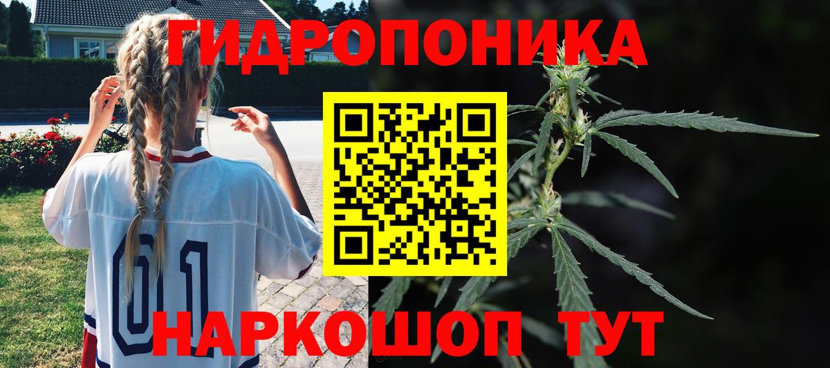 Каннабис планчик Бузулук